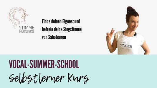 SummerSchool Selbstlerner Kurs